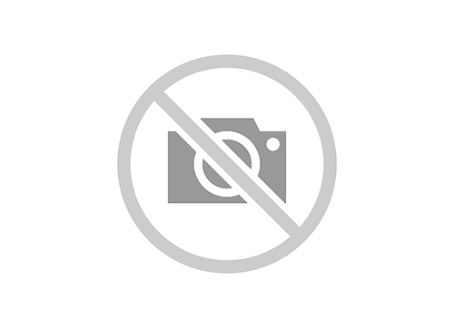 plinkooyunu.net
